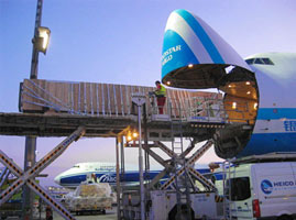 Air freight forwarder