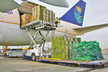 Air freight quote