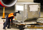 Air freight forwarder ULD